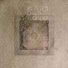 SEAHORSE/RED BIRDS REC DISCOGRAPHY